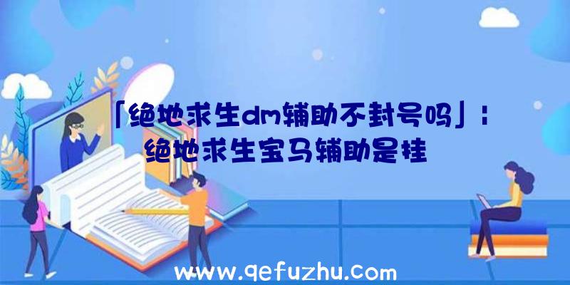 「绝地求生dm辅助不封号吗」|绝地求生宝马辅助是挂